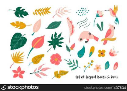 Big set of bright tropical leaves and birds. Vector illustration. Big set of bright tropical leaves and birds.