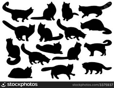 Big set of cat&acute;s silhouettes