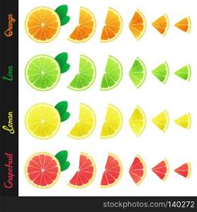 Big set of citrus slices of orange, lemon, lime and grapefruit. Isolated design elements. Big set of citrus slices