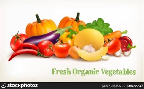 Big set of colorful vector vegetables. Vector illustration.