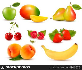 Big set of different fresh fruit and berries. Vector.