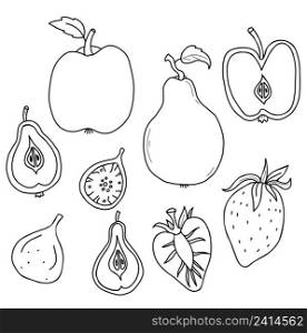 Big set of fruits and berries. Whole fruits and cut in half. Strawberry and fig, apple and pear with root and leaf. Vector illustration in linear hand drawn style for design, decor and decoration