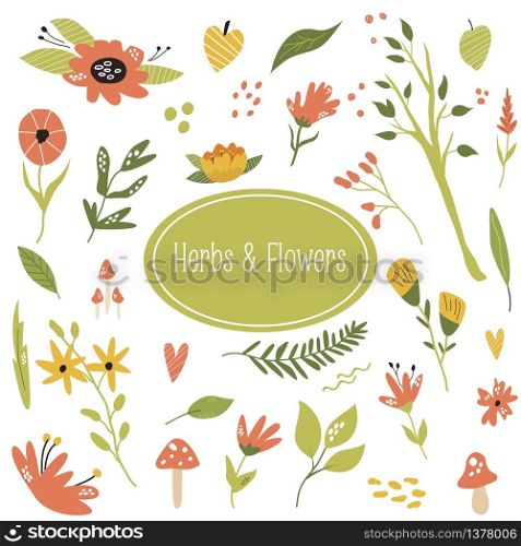 Big set of hand drawn herbs, plants and flowers. Botanical vector illustration. Big set of hand drawn herbs, plants and flowers