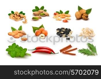Big set of ripe nuts and seeds and spices Vector