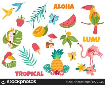 Big set of tropical birds and elements.. Big set of tropical birds and elements