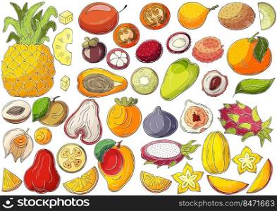 Big set of vector illustrations in hand drawn style. Children&rsquo;s drawings, poster with tropical fruits. Collection of icons, badges, stickers. Exotic fruits. Set of vector illustrations in hand drawn style
