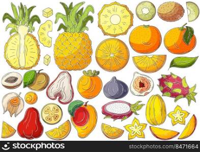 Big set of vector illustrations in hand drawn style. Children’s drawings, poster with tropical fruits. Collection of icons, badges, pins, stickers. Exotic fruits. Set of vector illustrations in hand drawn style