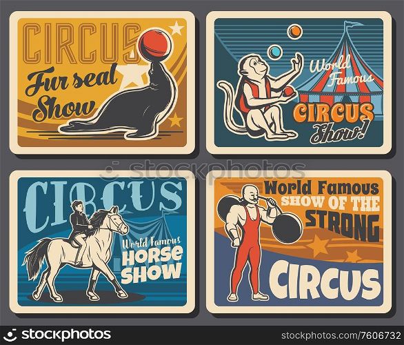 Big top tent circus, chapiteau carnival show with trained animals and strongman. Vector cirque big top tent, monkey and seal with juggling balls, horse with rider and strong man with barbell. Circus, chapiteau and carnival show retro posters