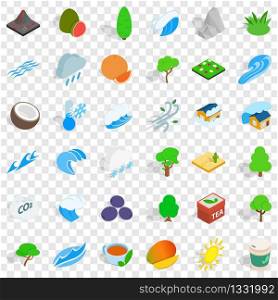Big tree icons set. Isometric style of 36 big tree vector icons for web for any design. Big tree icons set, isometric style