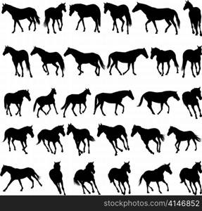 Big vector collection of different horses silhouettes