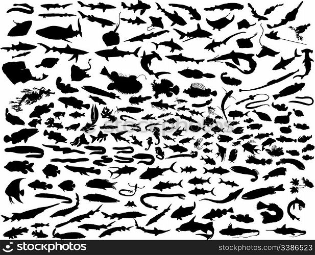 Big vector collection of silhouettes of different fish