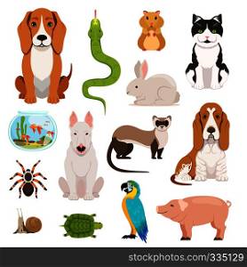 Big vector set of different domestic animals. Cats, dogs, hamster and other pets in cartoon style. Animal dog and cat, domestic hamster and rabbit illustration. Big vector set of different domestic animals. Cats, dogs, hamster and other pets in cartoon style