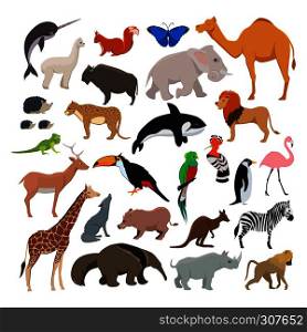 Big vector set with wild cute animals isolate on white background. Collection of character animals mammal lion and zebra, cheetah and butterfly illustration. Big vector set with wild cute animals isolate on white background