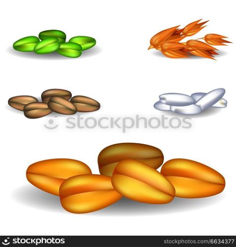 Big wheat grain pile with small heaps of green millet, golden oat, white rice and brown rye. Vector closeup poster of harvest crops. Wheat Grain Pile with Small Heaps on Background