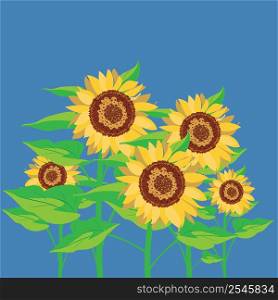 Big yellow sunflowers with green leaves illustration.