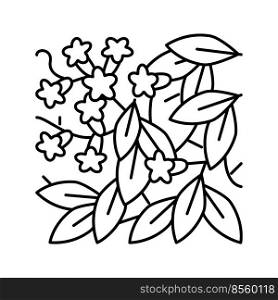 bignonia capreolata line icon vector. bignonia capreolata sign. isolated contour symbol black illustration. bignonia capreolata line icon vector illustration