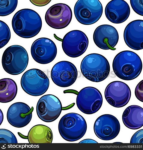 bilberry vector pattern on white background. bilberry vector pattern