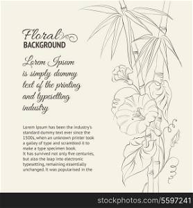 Bindweed flower and bamboo isolated on sepia. Vector illustration.