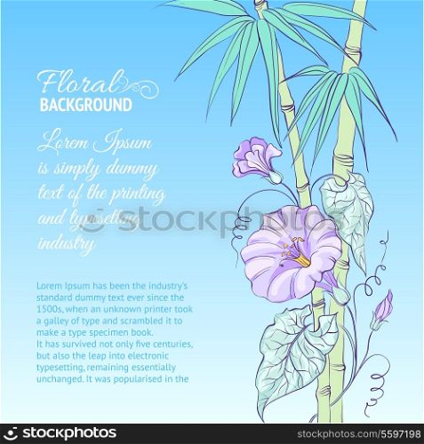 Bindweed flower and bamboo on blue background. Vector illustration.