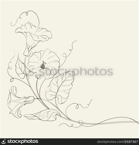 Bindweed flower pattern. Vector illustration.