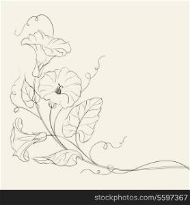 Bindweed flower pattern. Vector illustration.