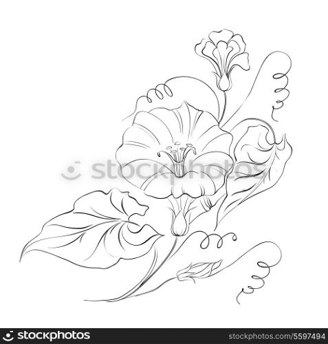 Bindweed isolated on white. Vector Illustration.