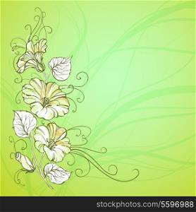 Bindweed on a green background with empty space. Vector illustration, contains transparencies, gradients and effects.