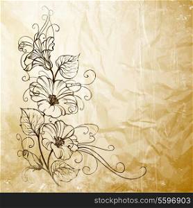 Bindweed on a paper background with text space. Vector illustration, contains transparencies, gradients and effects.