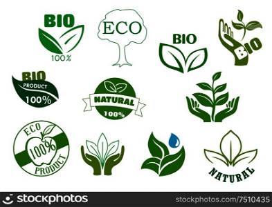 Bio, eco and natural products symbols with green leaves in hands, water drops, healthy organic apple fruits and tree. For food package design