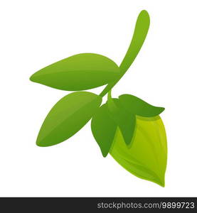 Bio green jojoba icon. Cartoon of bio green jojoba vector icon for web design isolated on white background. Bio green jojoba icon, cartoon style