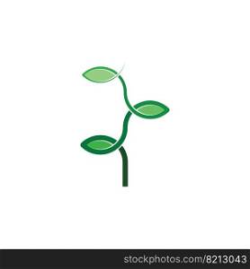 bio plant herb leaves organic logo icon vector
