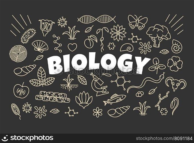 Biology background with signs and symbols on school board, vector science, education. Sketch chalk icons of DNA, plant molecule, chromosome and cell theory, microscope, leaf, flower and lab research. Biology background with signs and symbols, science