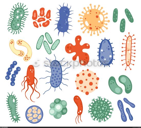 Biology microorganisms. Biological virus, bacteria, disease microbes, infection germ and infectious agent. Microorganism cells vector symbols. Microscopic bacillus, pandemic influenza. Biology microorganisms. Biological virus, bacteria, disease microbes, infection germ and infectious agent. Microorganism cells vector symbols