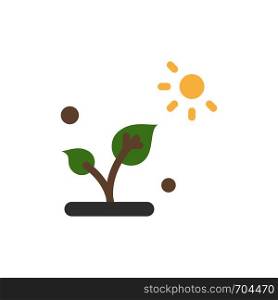 Biology, Plant, Science, Sun Flat Color Icon. Vector icon banner Template