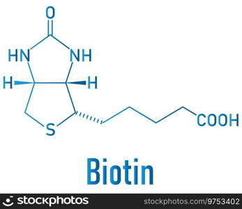 Biotin or vitamin b7 molecule skeletal formula Vector Image