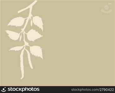 birch branch on brown background, vector illustration
