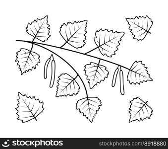 Birch branches and birch fruit vector line icons. Nature and ecology. Birch, leaves, plant, icon, drawing, fetus and more. Isolated collection of line icons birch branches on white background.. Birch branches and birch fetus vector line icons. Isolated collection of line icons birch branches on white background.