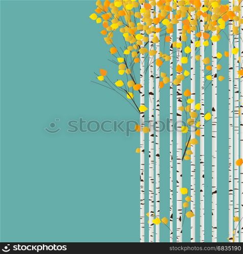 Birch forest autumn background, decorative card with room for text
