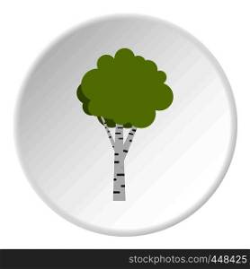 Birch icon in flat circle isolated vector illustration for web. Birch icon circle