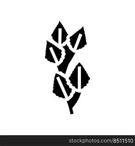 birch leaf glyph icon vector. birch leaf sign. isolated symbol illustration. birch leaf glyph icon vector illustration