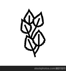 birch leaf line icon vector. birch leaf sign. isolated contour symbol black illustration. birch leaf line icon vector illustration