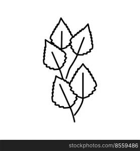 birch leaf line icon vector. birch leaf sign. isolated contour symbol black illustration. birch leaf line icon vector illustration