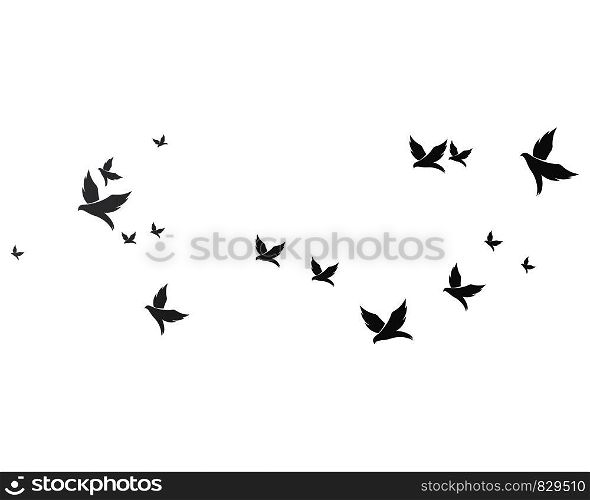 Bird background Template vector illustration