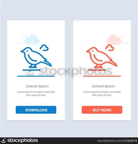 Bird, British, Small, Sparrow Blue and Red Download and Buy Now web Widget Card Template