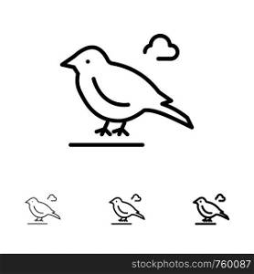 Bird, British, Small, Sparrow Bold and thin black line icon set