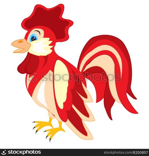 Bird cock. Pets bird cock on white background is insulated