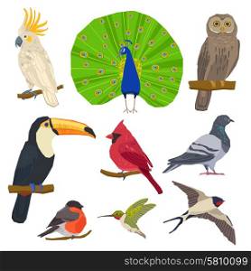 Bird Drawn Icon Set . Birds peacock toucan bullfinch dove owl and swallow color painted flat icon set isolated vector illustration
