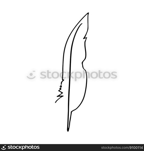 Bird feather for a quill. Sketch feather illustration for a tattoo design. Vector illustration isolated in white background