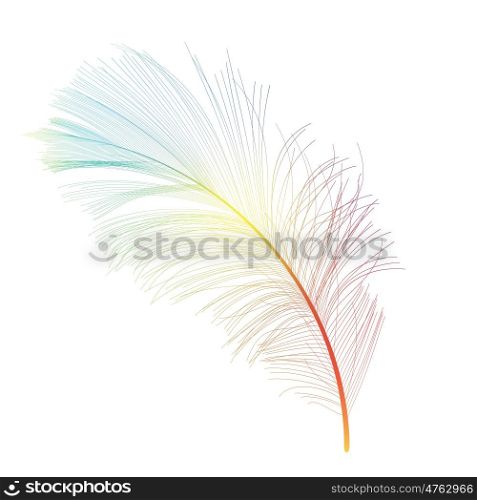 Bird Feather Hand Drawn Background Vector Illustration. EPS10. Bird Feather Hand Drawn Background Vector Illustration
