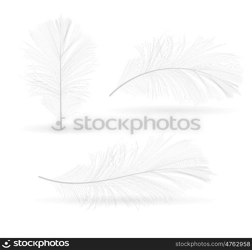Bird Feather Hand Drawn Vector Illustration. EPS10. Bird Feather Hand Drawn Vector Illustration